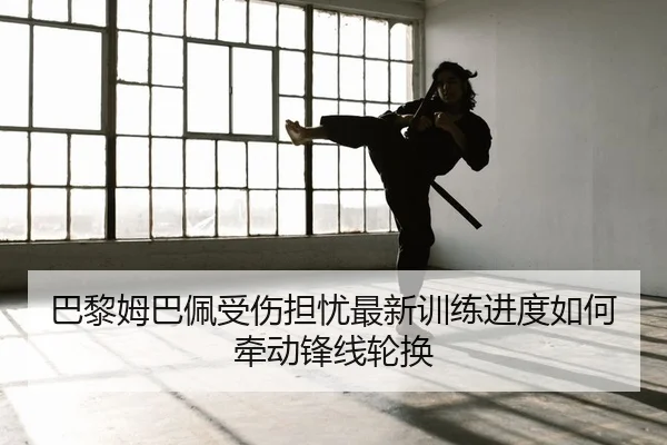 ba-li-mu-ba-pei-shou-shang-dan-you-zui-xin-xun-lian-jin-du-ru-he-qian-dong-feng-xian-lun-huan-2-352.jpg